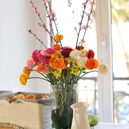 Lolli Palace 호텔 산레모