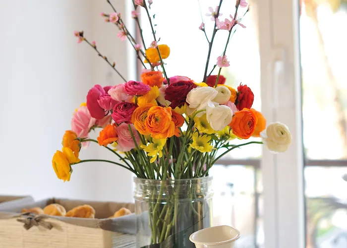 Lolli Palace فندق سانريمو