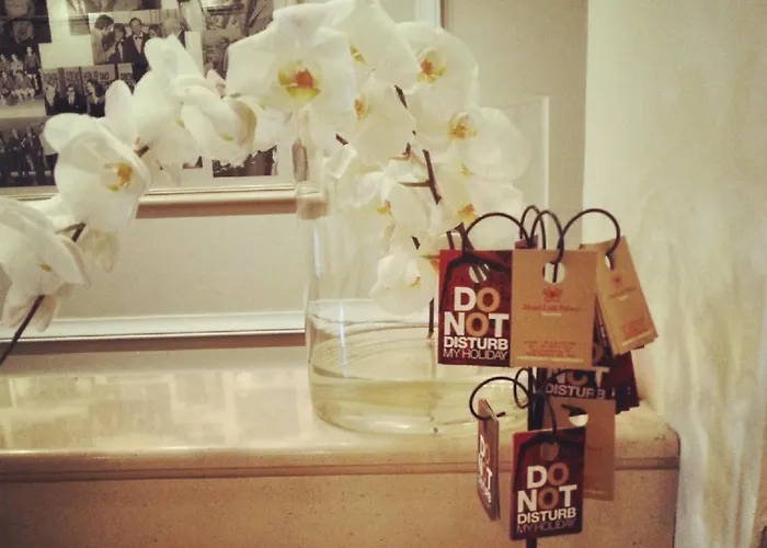 Lolli Palace فندق 3*